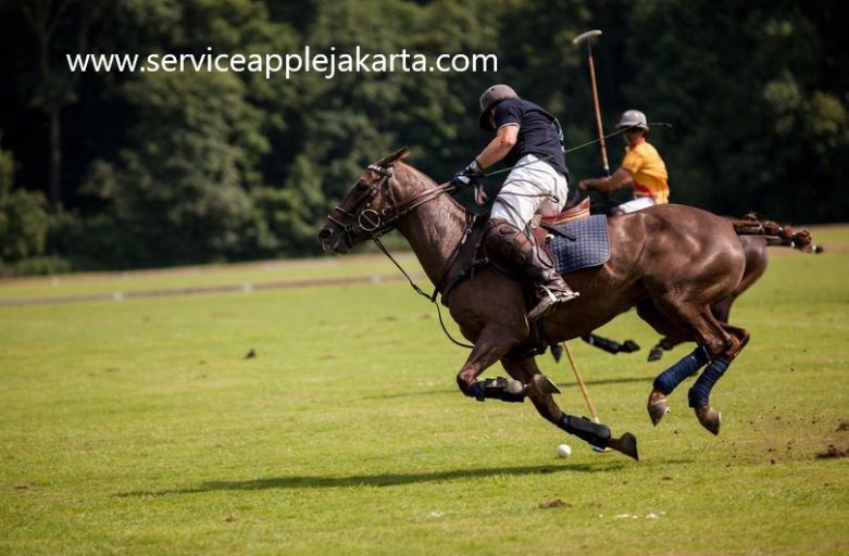 Olahraga Berkuda di Dunia: Dari Balap hingga Polo